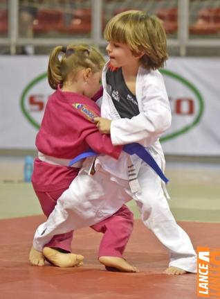 Copa Hikari de Jud