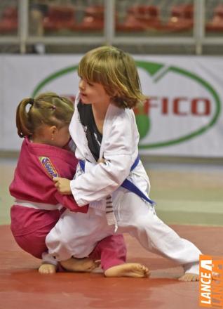 Copa Hikari de Jud