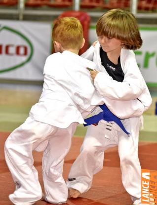 Copa Hikari de Jud