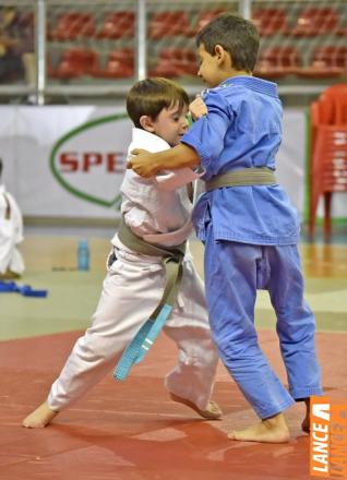 Copa Hikari de Jud