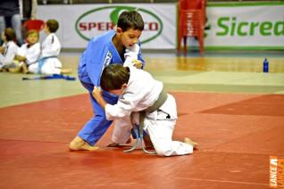 Copa Hikari de Jud