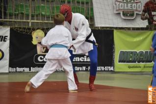 Copa Hikari de Jud