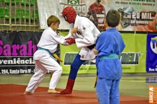 Copa Hikari de Jud