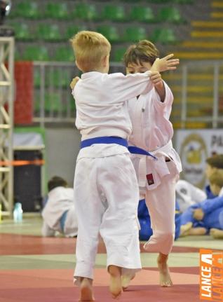 Copa Hikari de Jud