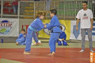 Copa Hikari de Jud