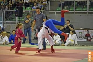 Copa Hikari de Jud